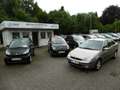 Ford Focus 1.6 Trend Klima Allwetterreifen Beige - thumbnail 12