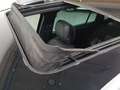 Volkswagen Tiguan 1.5 TSI Sport DSG 110kW Negro - thumbnail 16