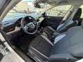 Skoda Scala 1,0 TSI Selection Grau - thumbnail 21