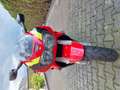 Honda CBR 900 Fireblade TOPPER!!! GOED LEZEN!! Piros - thumbnail 3