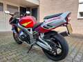 Honda CBR 900 Fireblade TOPPER!!! GOED LEZEN!! Rojo - thumbnail 8