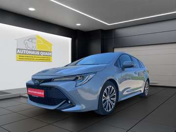 Touring Sports Hybrid Team D AHK abnehmbar