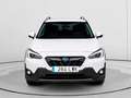 Subaru XV 1.6i Sport Plus CVT Blanco - thumbnail 7