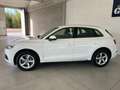 Audi Q5 Q5  40 2.0 tdi  Sport quattro 190cv s-tronic Bianco - thumbnail 3