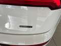Audi Q5 Q5  40 2.0 tdi  Sport quattro 190cv s-tronic Bianco - thumbnail 29