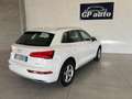 Audi Q5 Q5  40 2.0 tdi  Sport quattro 190cv s-tronic Bianco - thumbnail 6