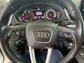 Audi Q5 Q5  40 2.0 tdi  Sport quattro 190cv s-tronic Bianco - thumbnail 10