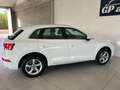 Audi Q5 Q5  40 2.0 tdi  Sport quattro 190cv s-tronic Bianco - thumbnail 7