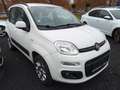 Fiat Panda Lounge Benzin/Erdgas Weiß - thumbnail 2
