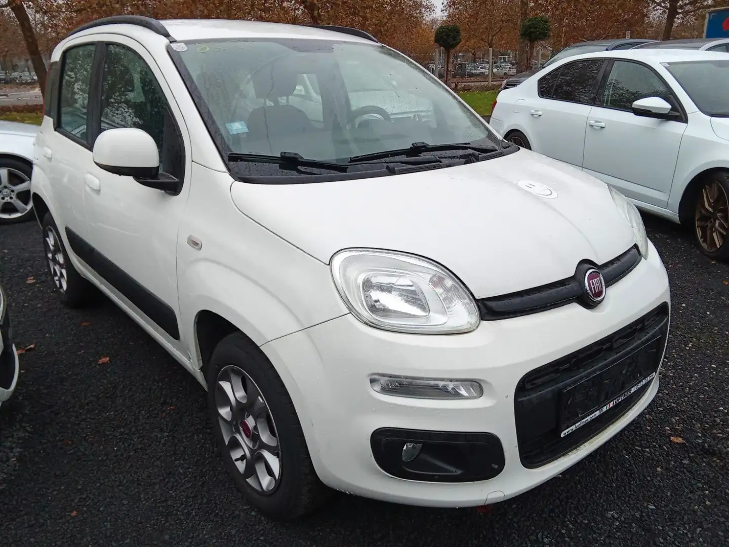Fiat Panda Lounge Benzin/Erdgas Weiß - 2