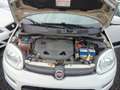 Fiat Panda Lounge Benzin/Erdgas Weiß - thumbnail 10