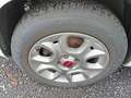 Fiat Panda Lounge Benzin/Erdgas Weiß - thumbnail 13
