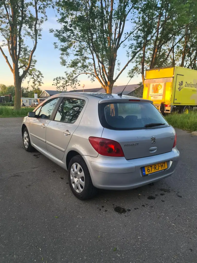 Peugeot 307 1.6-16V XS Premium- 5 DEURS- AIRCO- CRUISE CONTROL Grijs - 2
