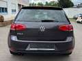Volkswagen Golf Lounge BMT/AMBIENTE/KEYLESS/KAMERA/SITZHEIZUNG Gris - thumbnail 4