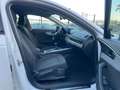 Audi A4 A4 V 2016 Avant Avant 2.0 tdi Business 150cv Bianco - thumbnail 10