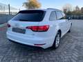 Audi A4 A4 V 2016 Avant Avant 2.0 tdi Business 150cv Bianco - thumbnail 7