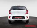 Kia Picanto Vision 1.0 Automatik Navi Kamera Sitzheiz. Allwett Weiß - thumbnail 5