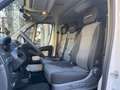 Fiat Ducato 2.0 MJT 115CV 9POSTI Wit - thumbnail 11