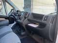 Fiat Ducato 2.0 MJT 115CV 9POSTI Wit - thumbnail 9