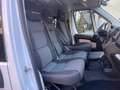 Fiat Ducato 2.0 MJT 115CV 9POSTI Wit - thumbnail 10