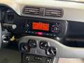 Fiat Panda New 1.2 69 cv. EasyPower LOUNGE (Imp. GPL) Bianco - thumbnail 9