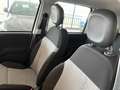 Fiat Panda New 1.2 69 cv. EasyPower LOUNGE (Imp. GPL) Bianco - thumbnail 11