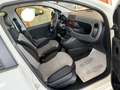 Fiat Panda New 1.2 69 cv. EasyPower LOUNGE (Imp. GPL) Bianco - thumbnail 14
