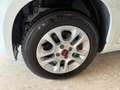 Fiat Panda New 1.2 69 cv. EasyPower LOUNGE (Imp. GPL) Bianco - thumbnail 5