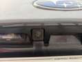 Subaru OUTBACK 2.5i Executive Plus S Black Edition CVT Gris - thumbnail 22