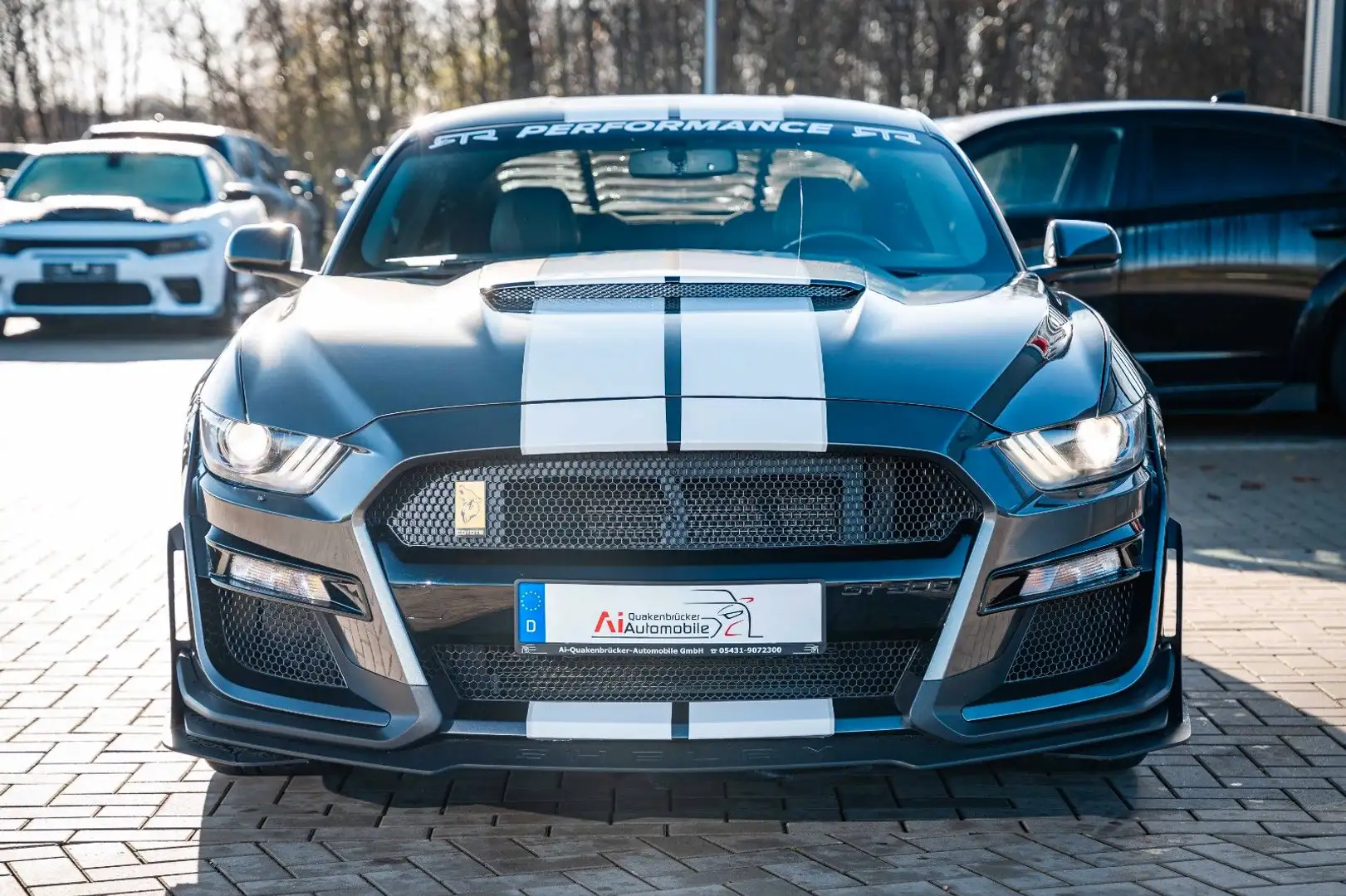 Ford Mustang 3,7 LPG BRC GT 350 RTR KAMERA TOP Gris - 2