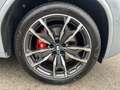 BMW X3 xDrive20d M Sportpaket HiFi DAB WLAN RFK Grau - thumbnail 41