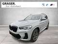 BMW X3 xDrive20d M Sportpaket HiFi DAB WLAN RFK Grau - thumbnail 1