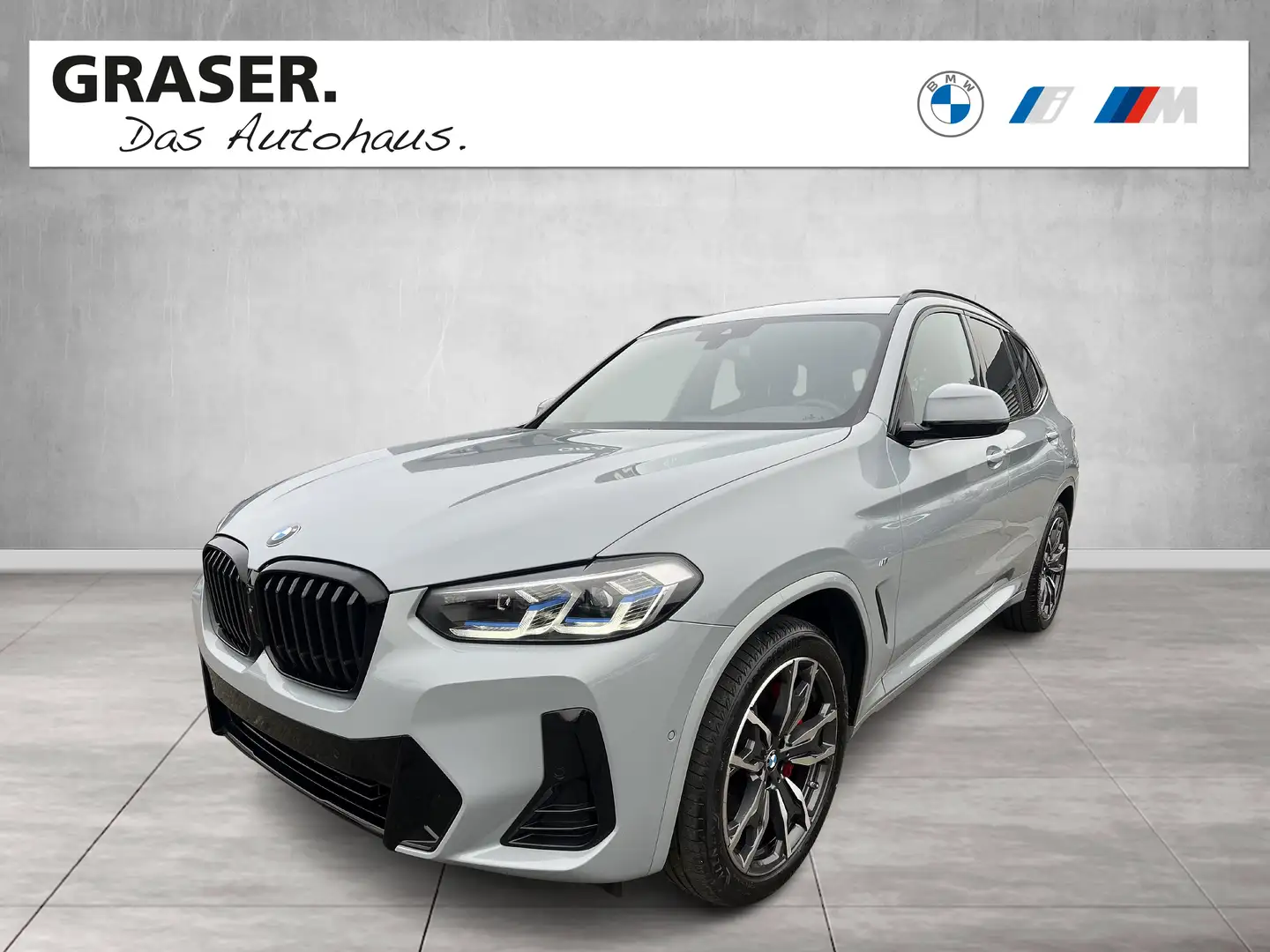 BMW X3 xDrive20d M Sportpaket HiFi DAB WLAN RFK Grau - 1