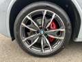 BMW X3 xDrive20d M Sportpaket HiFi DAB WLAN RFK Grau - thumbnail 44