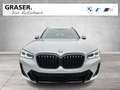 BMW X3 xDrive20d M Sportpaket HiFi DAB WLAN RFK Grau - thumbnail 9
