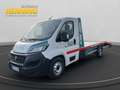 Fiat Ducato 160 Maxi Started nicht 3to AHK Blanc - thumbnail 1
