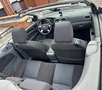 Ford Focus CC Focus CC 1.6i Trend Cabriolet Beige - thumbnail 7