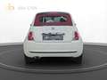 Fiat 500C |PDC|CarPlay|R-Kamera|Ganzjahresreifen Weiß - thumbnail 6