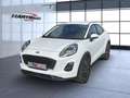Ford Puma Cool & Connect Bluetooth LED Klima Bianco - thumbnail 2