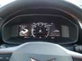 CUPRA Formentor 1.5 TSI KLIMA PDC SHZ NAVI ACC LED Grau - thumbnail 14
