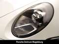 Porsche 992 (911) Carrera*BOSE*ACC*SPORTABG*SHZ* Weiß - thumbnail 26