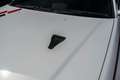 Nissan Skyline R34 GTR V-spec II QM1 White Wit - thumbnail 13