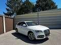 Audi SQ5 3,0 TDI quattro DPF Tiptronic Weiß - thumbnail 6