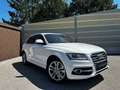 Audi SQ5 3,0 TDI quattro DPF Tiptronic Weiß - thumbnail 5