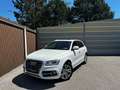 Audi SQ5 3,0 TDI quattro DPF Tiptronic Weiß - thumbnail 2