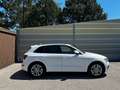 Audi SQ5 3,0 TDI quattro DPF Tiptronic Weiß - thumbnail 7