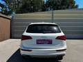 Audi SQ5 3,0 TDI quattro DPF Tiptronic Weiß - thumbnail 13
