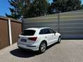 Audi SQ5 3,0 TDI quattro DPF Tiptronic Weiß - thumbnail 11