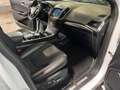 Ford Edge 2,0 EcoBlue SCR 4x4 ST-Line Aut. Weiß - thumbnail 15