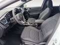 Kia Ceed / cee'd Ceed 1.0 T-GDI SW -Navi, Sitz HZ, el. Heckklappe- Weiß - thumbnail 9